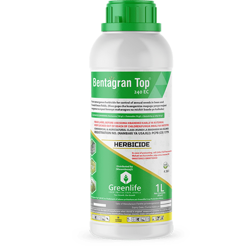 BENTAGRAM TOP