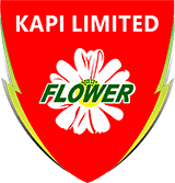 kapi